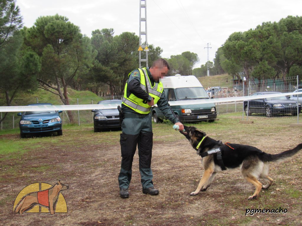 29º Campeonato Militar