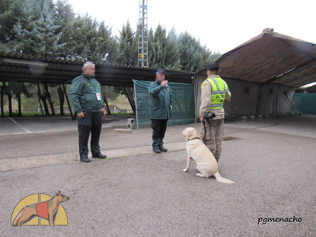 29º Campeonato Militar