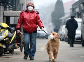 contaminación