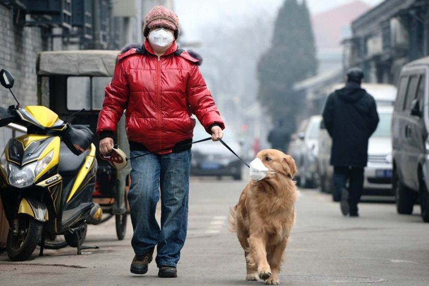 contaminación