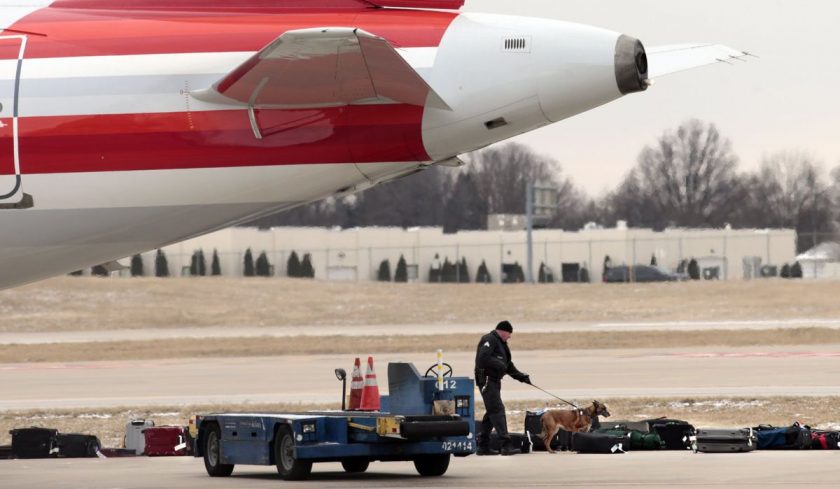 vuelo de American