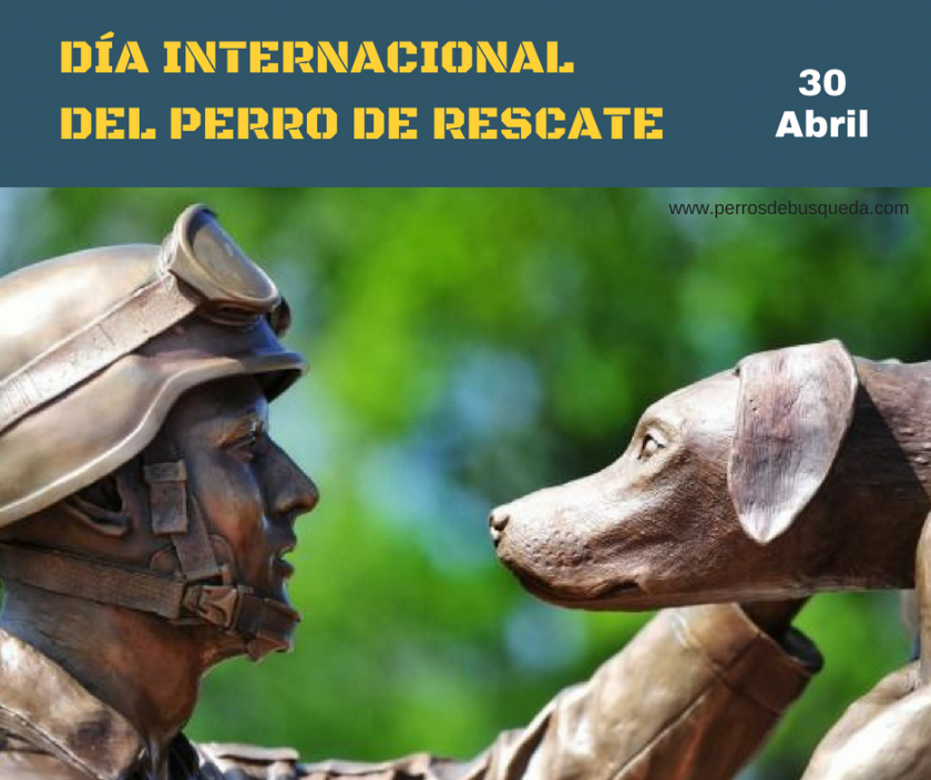 Día Internacional del Perro de Rescate