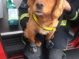 incendio de la Torre Grenfell