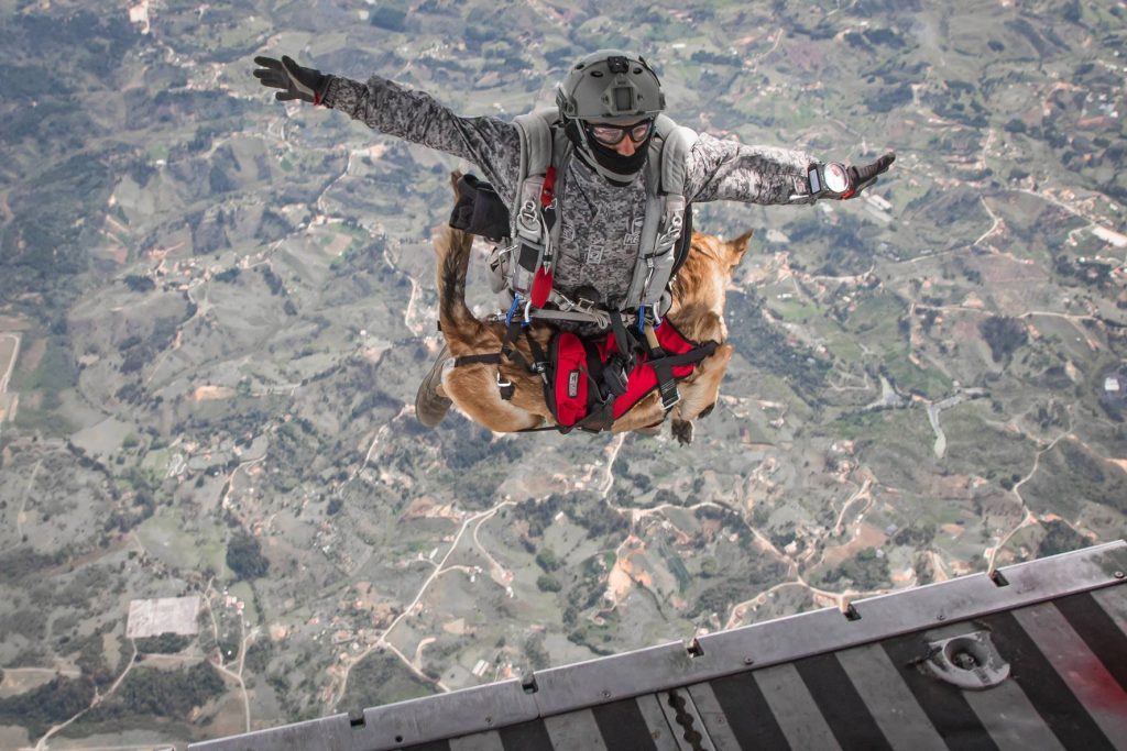 paracaidista de la Fuerza Aérea