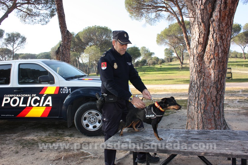 herramienta de trabajo