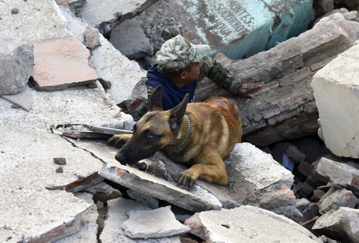 terremoto de México