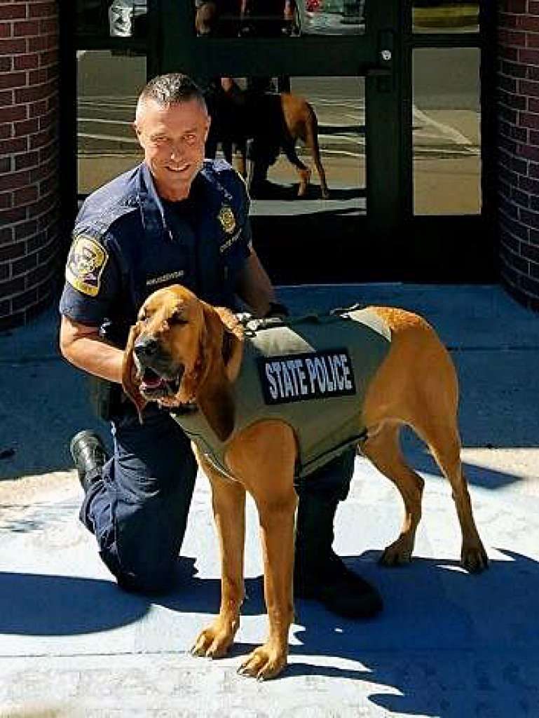 desaparece el perro policía