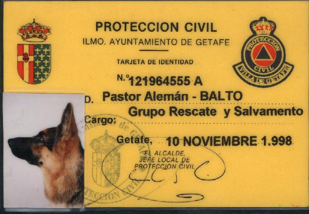 perro de salvamento