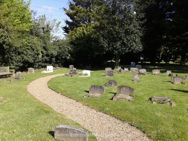 cementerio de animales