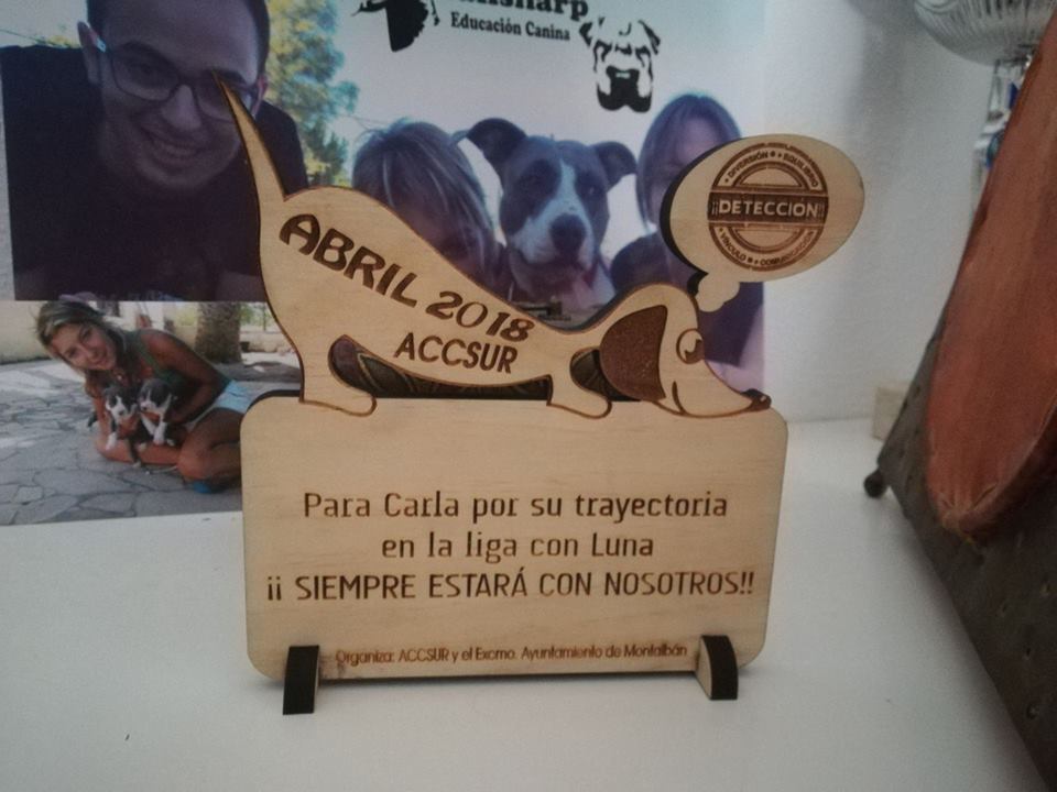 campeones de Detección