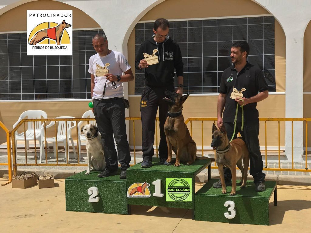 campeones de Detección