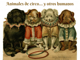animales de circo