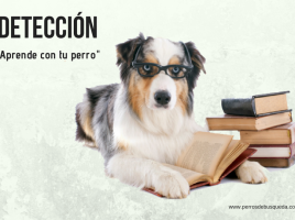 libros sobre perros detectores