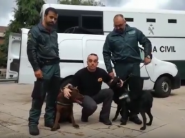 Guardia Civil en Asturias