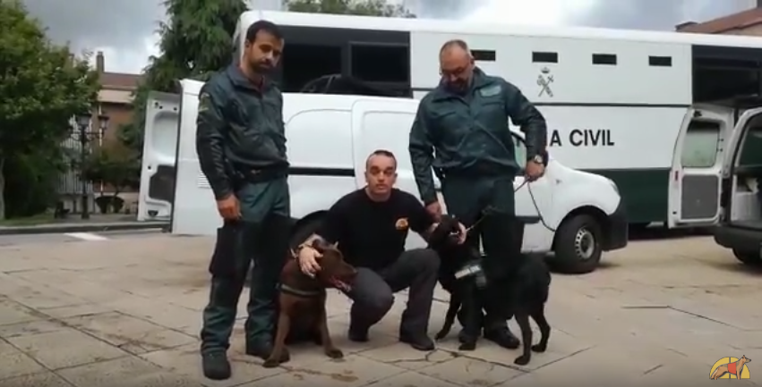 Guardia Civil en Asturias