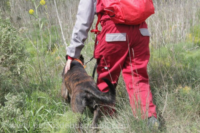 formacion veterinaria