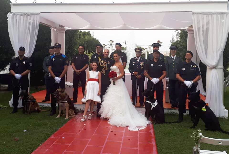 boda con perros