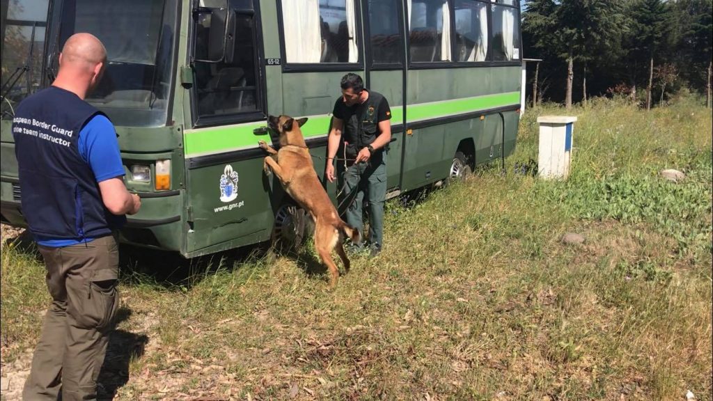 unidades caninas internacionales