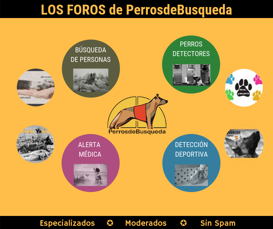 foros
