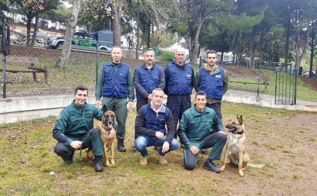 unidades caninas internacionales