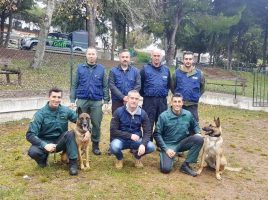 unidades caninas internacionales