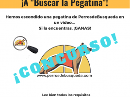 Buscar la Pegatina