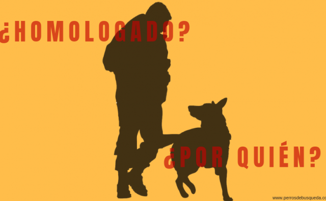 homologados y certificados