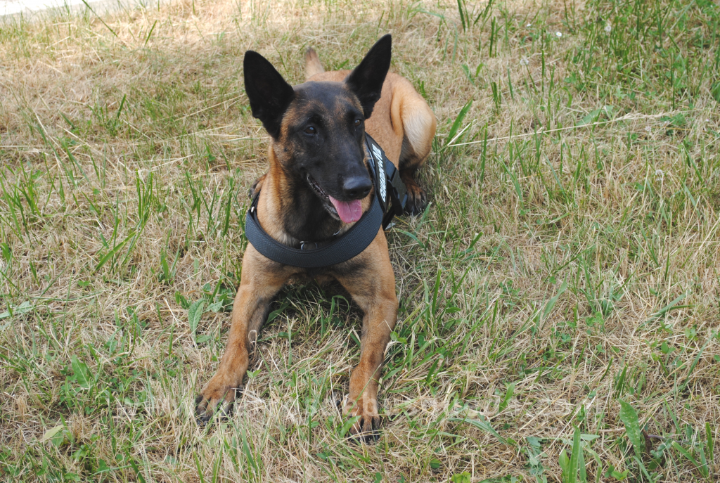 Guardia Civil de Pamplona