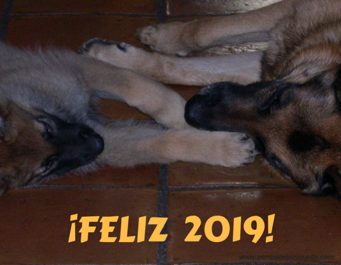 ¡Feliz 2019!