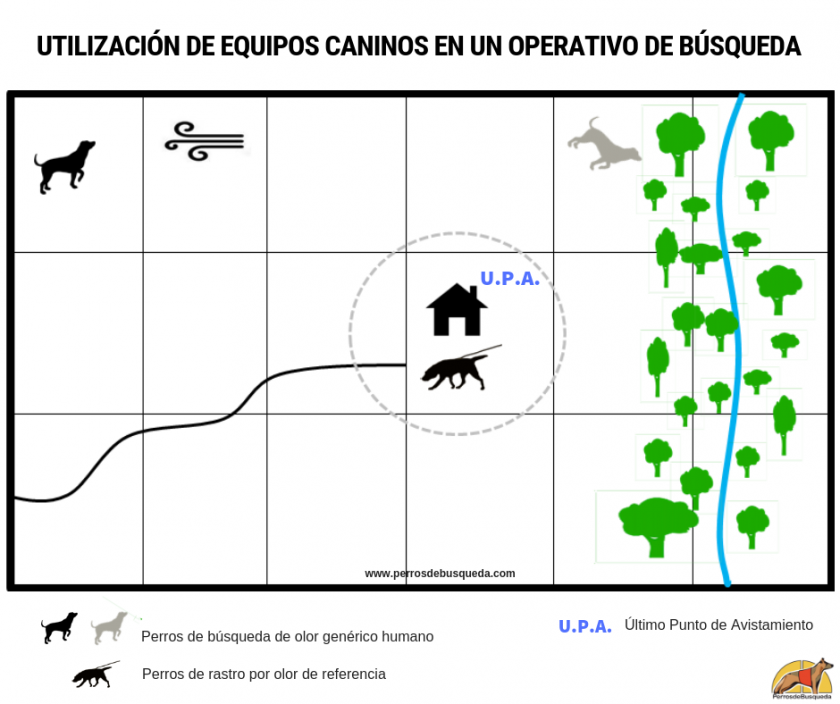 manual para equipos caninos