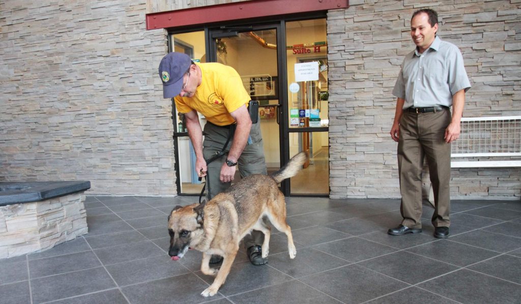 eficacia de los perros detectores