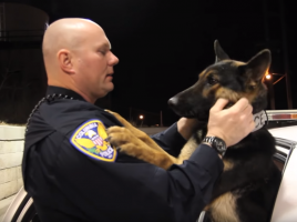 vínculo entre perros policía