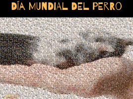 Día Mundial del Perro