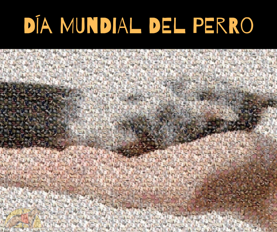 Día Mundial del Perro