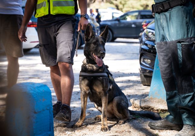 Xena, un perro de drogas