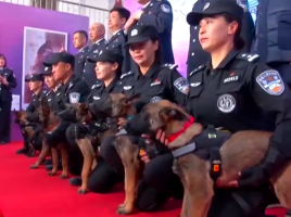agentes caninos clonados en China