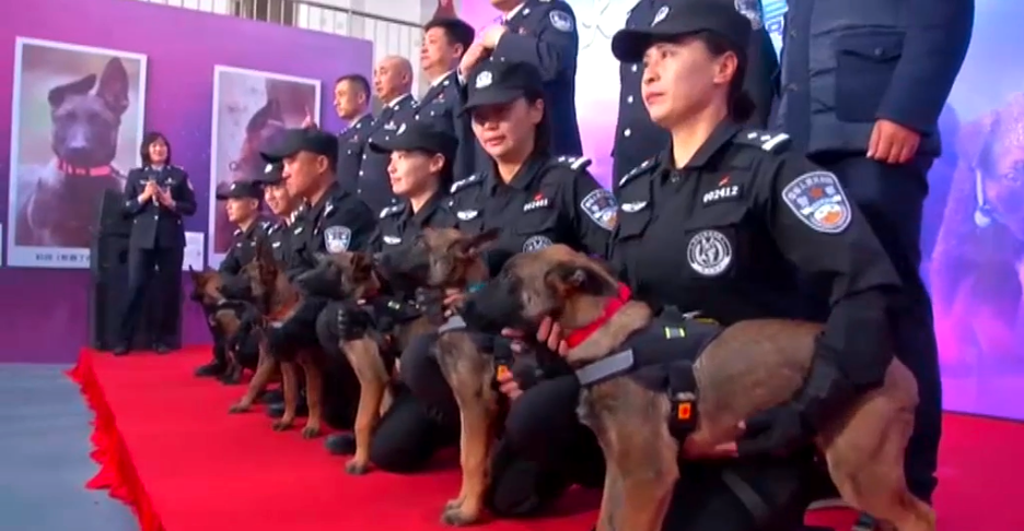 agentes caninos clonados en China