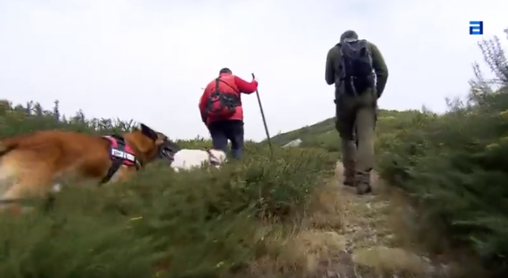 Unidad canina detección cebos Principado de Asturias