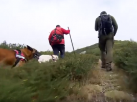 Unidad canina detección cebos Principado de Asturias