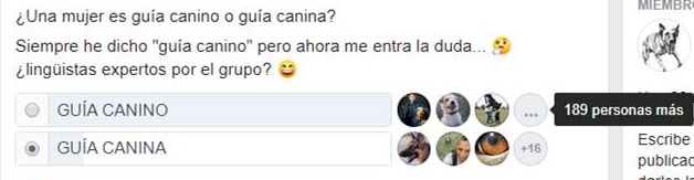 guía canino