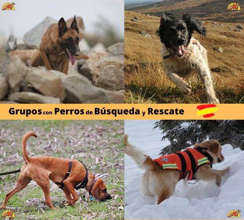 Grupos perros rescate  España