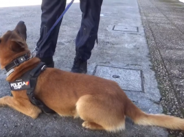 UEGP Policía Nacional Asturias