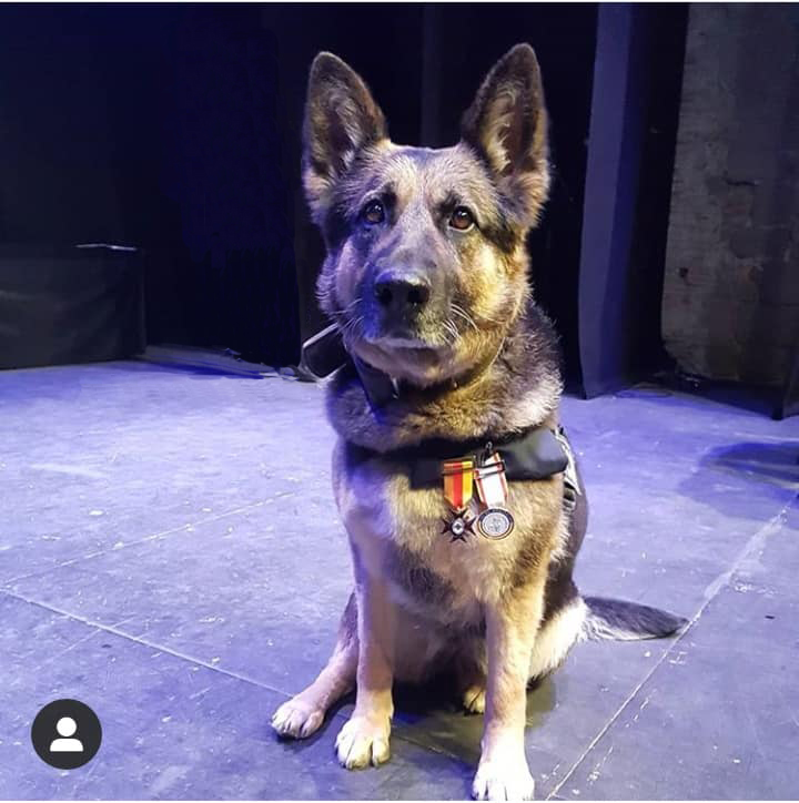 Blanca de la Policía Local de Girona