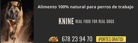 Anuncio Knine comida para perros
