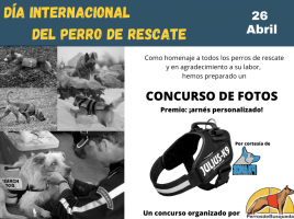 Día Internacional del perro de rescate