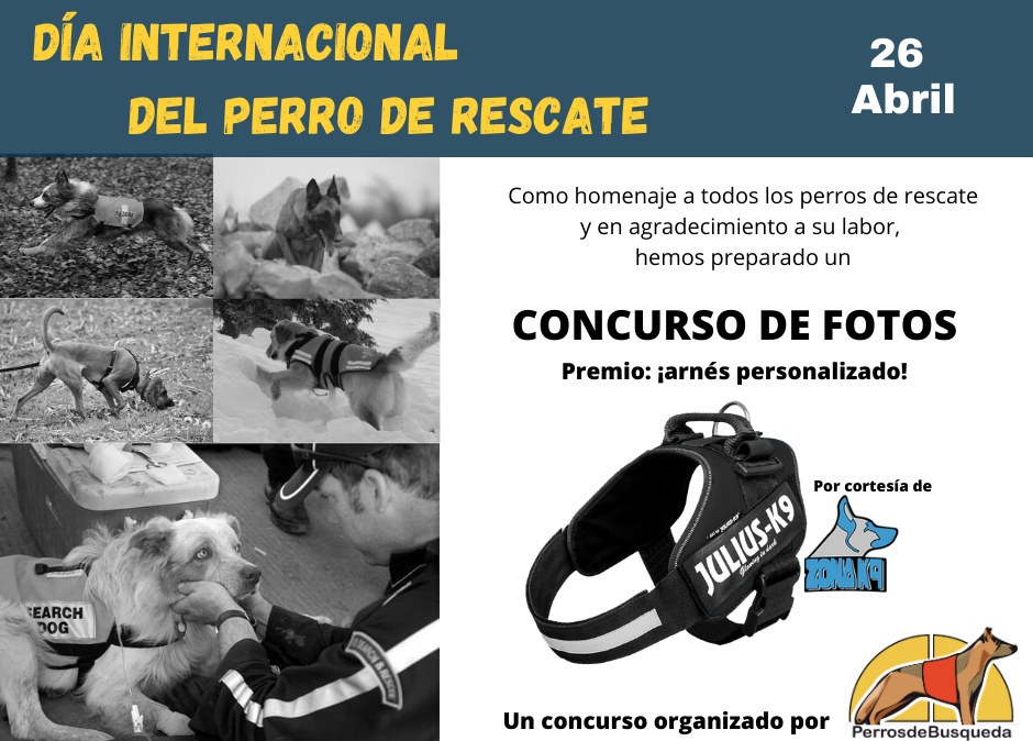 Día Internacional del perro de rescate