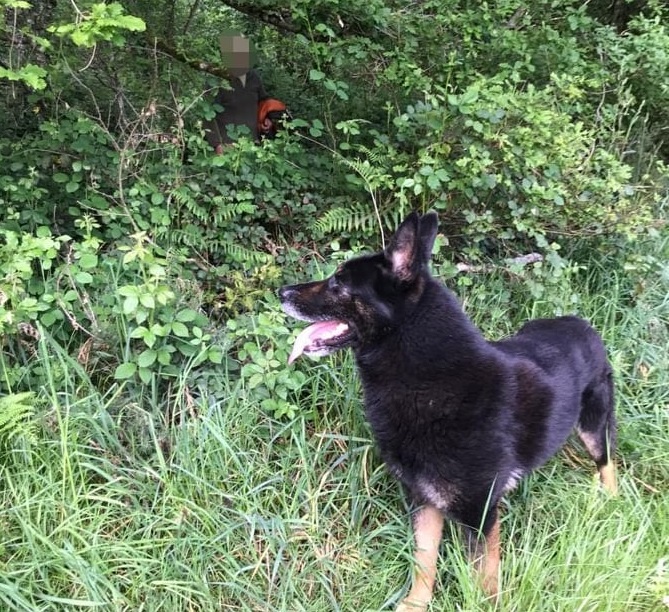 Un perro localiza a un desaparecido en Lancara