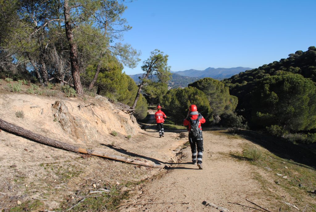 Mantrailing paseandoperros