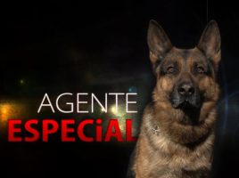 Agente especial