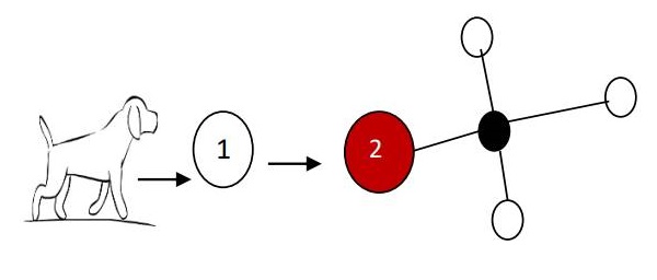 rueda de olor -PdB